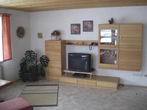 a living room with a television on a wooden entertainment center at Ferienwohnung Seidl in Waffenbrunn