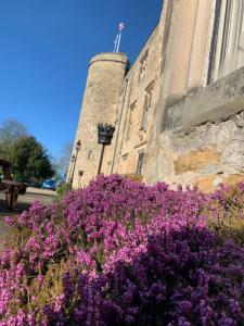 a pile of purple flowers in front of a building at Best Western Walworth Castle Hotel in Darlington