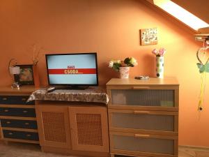 ハイドゥソボスローにあるFamily Wellness Apartmanのデスク(テレビ付)が備わる客室です。