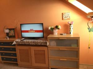 A television and/or entertainment centre at Family Wellness Apartman
