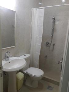 a bathroom with a toilet and a shower and a sink at Cypress Tree Apartments in Bethlehem