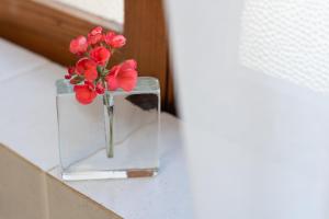 Fotografie z fotogalerie ubytování Mood Farmhouse B&B v destinaci Għarb