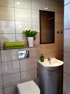 Ванная комната в Zielone Zacisze