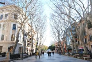 Hostia v ubytovaní Cream homes La Rambla, TURISMO DE INTERIOR