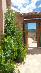 an open door to a building with green plants at Corral De La Solana in Molinos