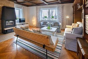 a living room with a couch and a fireplace at Payerbach Apartments in Payerbach