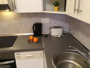 A kitchen or kitchenette at Family Wellness Apartman