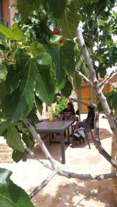 uma pessoa sentada numa mesa debaixo de uma árvore em Corral De La Solana em Molinos