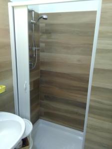 a bathroom with a shower with a toilet and a sink at Hotel Nettuno in Porto San Giorgio