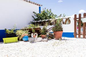 un grupo de plantas en macetas sentadas en el suelo en Carrança Lounge en Évora