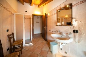 a bathroom with a sink and a mirror and a shower at Albergo Al Platano in Caprino Veronese