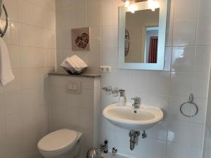 a bathroom with a sink and a toilet and a mirror at Hotel und Restaurant Pinkenburg in Wennigsen