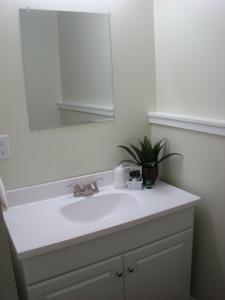 lavabo con espejo y planta en Paddock Inn, en Coleman