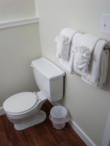Vonios kambarys apgyvendinimo įstaigoje Paddock Inn