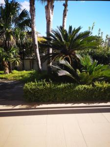 Zahrada ubytování Villa Residenza Medea
