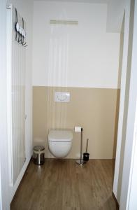 a bathroom with a white toilet in a room at Deine Ferienwohnung in Falkenstein