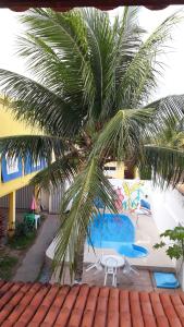 una palmera sentada junto a una piscina en Sol Hostel & Pousada Maragogi, en Maragogi