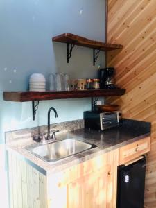 - une cuisine avec un évier et un comptoir dans l'établissement Hale Nonno, à Pahoa
