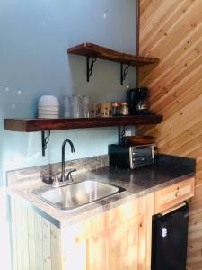 a kitchen with a sink and a counter top at Hale Nonno in Pahoa