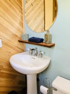 uma casa de banho com um lavatório e um espelho em Hale Nonno em Pahoa