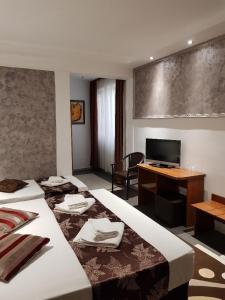 TV a/nebo společenská místnost v ubytování Hotel Tranzzit
