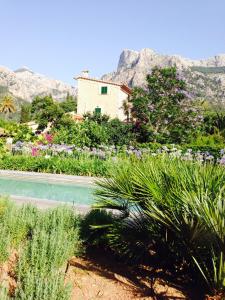 a garden with flowers and a house in the background at Can Busquera in Sóller