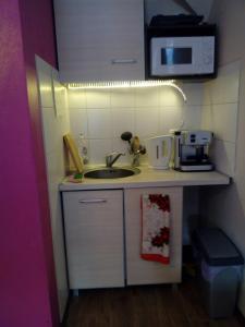 uma pequena cozinha com um lavatório e um micro-ondas em Pokoje Gościnne Venus em Szklarska Poręba