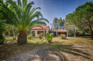 a palm tree in front of a house at Villette Luisa by SolturElba in Capoliveri