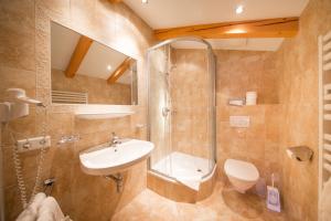 a bathroom with a shower and a sink and a toilet at Waldele in Sölden