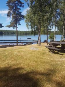 a picnic table in a park next to a lake at MY LITTLE BED & BREAKFAST & HOLIDAY HOME in Älghult +9 photos