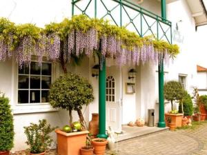 a house with a bunch of wisterias hanging over it at Hotel Sterkel in Rödermark