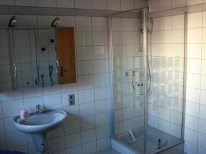 y baño con lavabo y ducha. en Ferienwohnung Lautner en Zirndorf