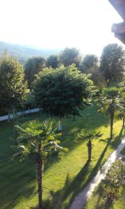 Zahrada ubytování Hotel Afroditi