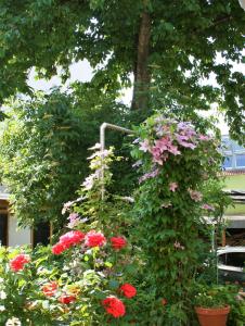 a garden with red and pink flowers and a tree at Herrenhof in Worms