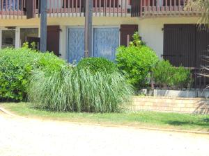 Studio Poumatan في فيو بوكو لي بان: كومة من العشب الطويل أمام المبنى