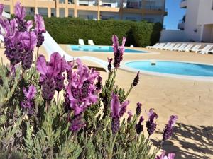 a bunch of purple flowers in front of a swimming pool at Via Dona Ana in Lagos