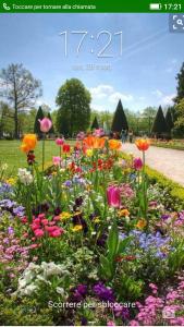 a garden of colorful flowers in a park at B&B Casacasina in Monzambano