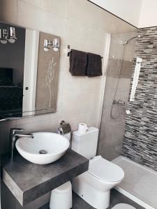 een badkamer met een wastafel, een toilet en een douche bij Alicante Center Apart in Alicante
