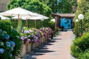 Gallery image of Loriana Park Hotel Sul Lago in Bolsena