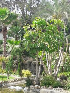 Ogród w obiekcie Chez Elo's Marbella Milla de Oro. Jardin Privado