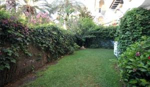 Ogród w obiekcie Chez Elo's Marbella Milla de Oro. Jardin Privado