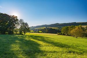 un campo de hierba verde con el sol en el fondo en Landgasthof Reinert, en Reiste