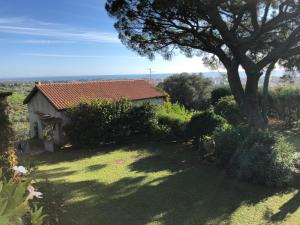 een klein huis met een boom in een tuin bij La Casetta di Borgo Carbone in Locri