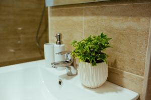 a potted plant sitting on top of a bathroom sink at Urban Living Apartment in Timişoara