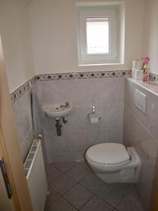 a bathroom with a toilet and a sink at Charmantes Apartment mit Terrasse zum Garten nahe Wien in Gumpoldskirchen