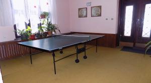 Stolní tenis v ubytování Penzion Heřmanice nebo okolí