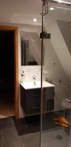 a bathroom with a sink and a mirror at Haus am Koiteich in Plau am See