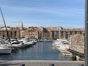 a bunch of boats are docked in a harbor at Place aux huiles in Marseille