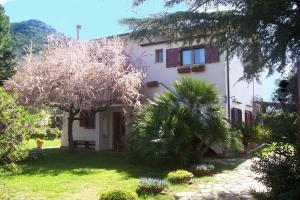 una casa bianca con un albero in cortile di VILLA PRATO a Sperlonga