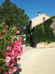 un jardín con flores rosas junto a un edificio en Une Parenthese pour Deux, en Plan-dʼOrgon